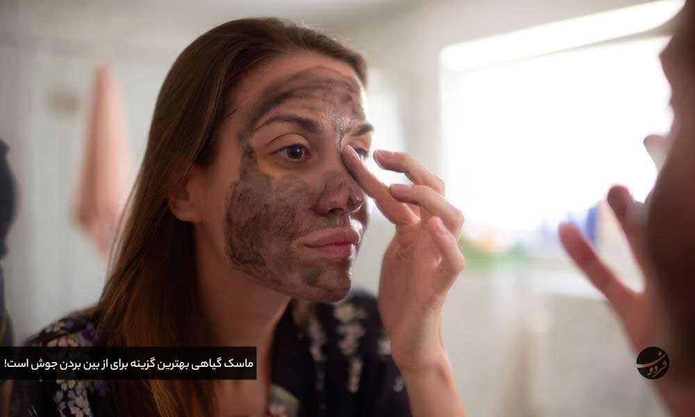 درمان طبیعی جوش صورت -ماسک گیاهی