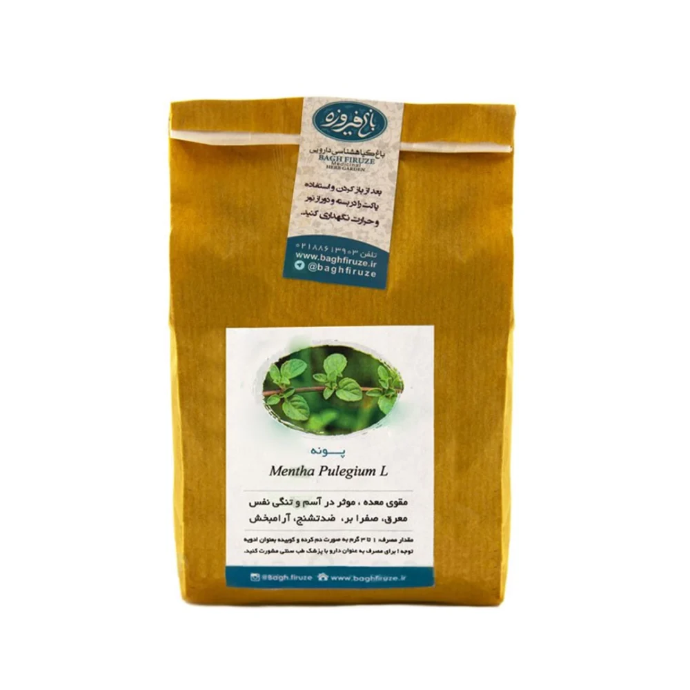 دمنوش پونه باغ فیروزه